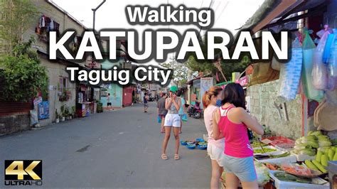 brgy katuparan taguig zip code